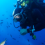 Buceador PADI Open Water en un curso de buceo en Costa Brava, rodeado de peces