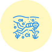 Group 45